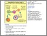 [thumbnail of 1-s2.0-S2211124716304089-main.pdf]
